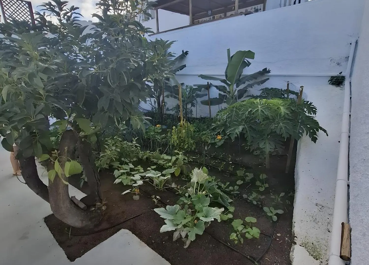 Ferienhaus Chousa Puntillo Del Sol